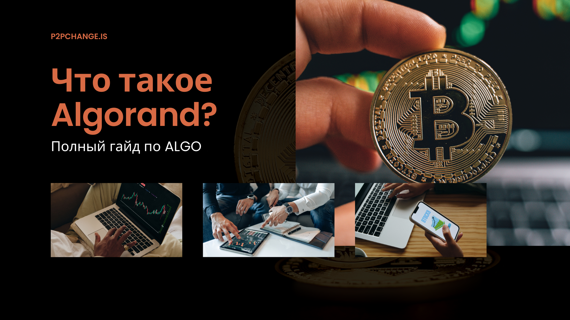 Что такое Algorand? Полный гайд по ALGO